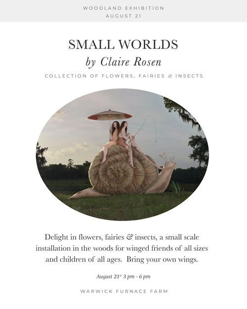 Small Worlds